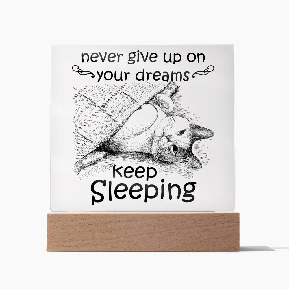 Never Give Up On your Dreams