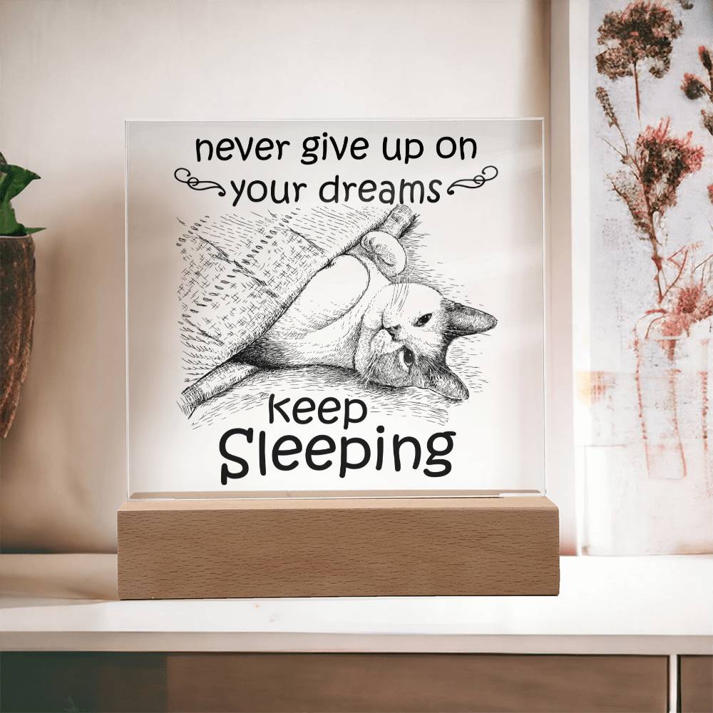 Never Give Up On your Dreams