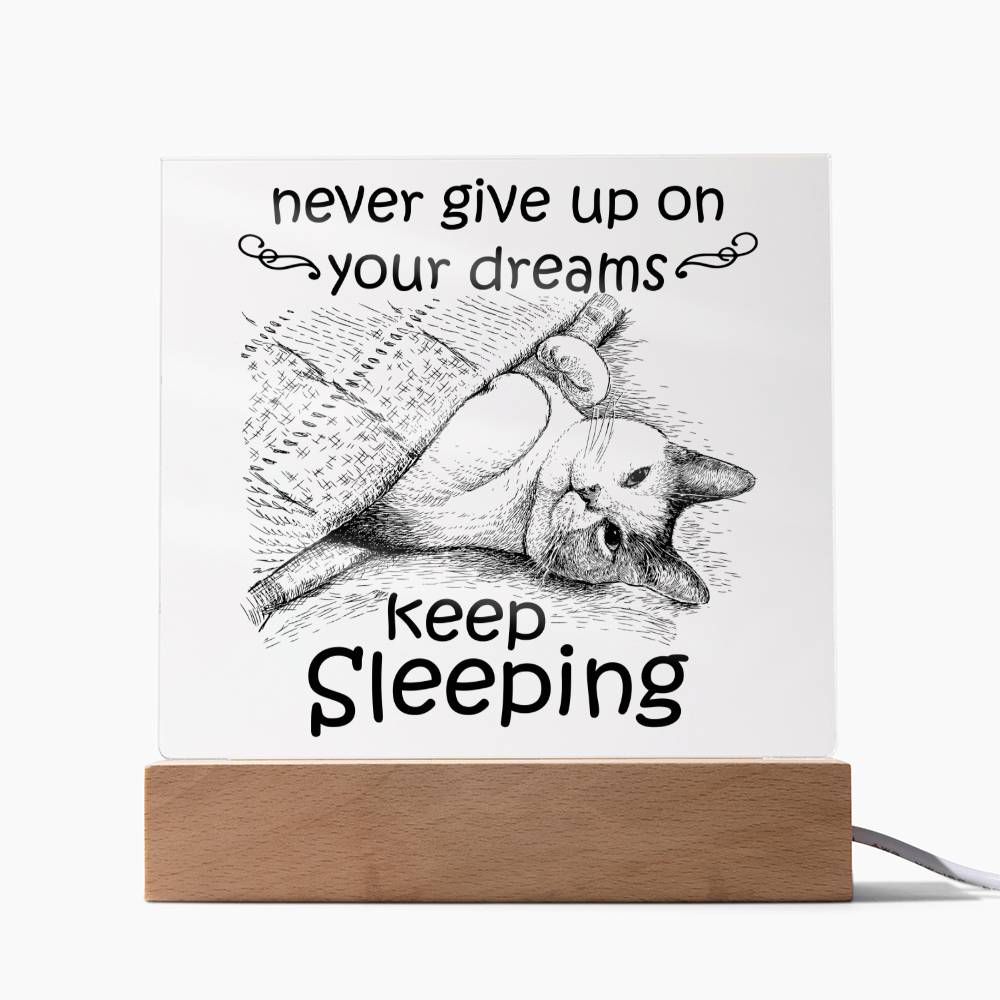 Never Give Up On your Dreams
