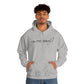 Dear Person Behind Me Hooded Sweatshirt