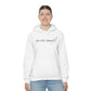 Dear Person Behind Me Hooded Sweatshirt