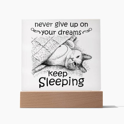Never Give Up On your Dreams