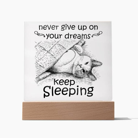 Never Give Up On your Dreams