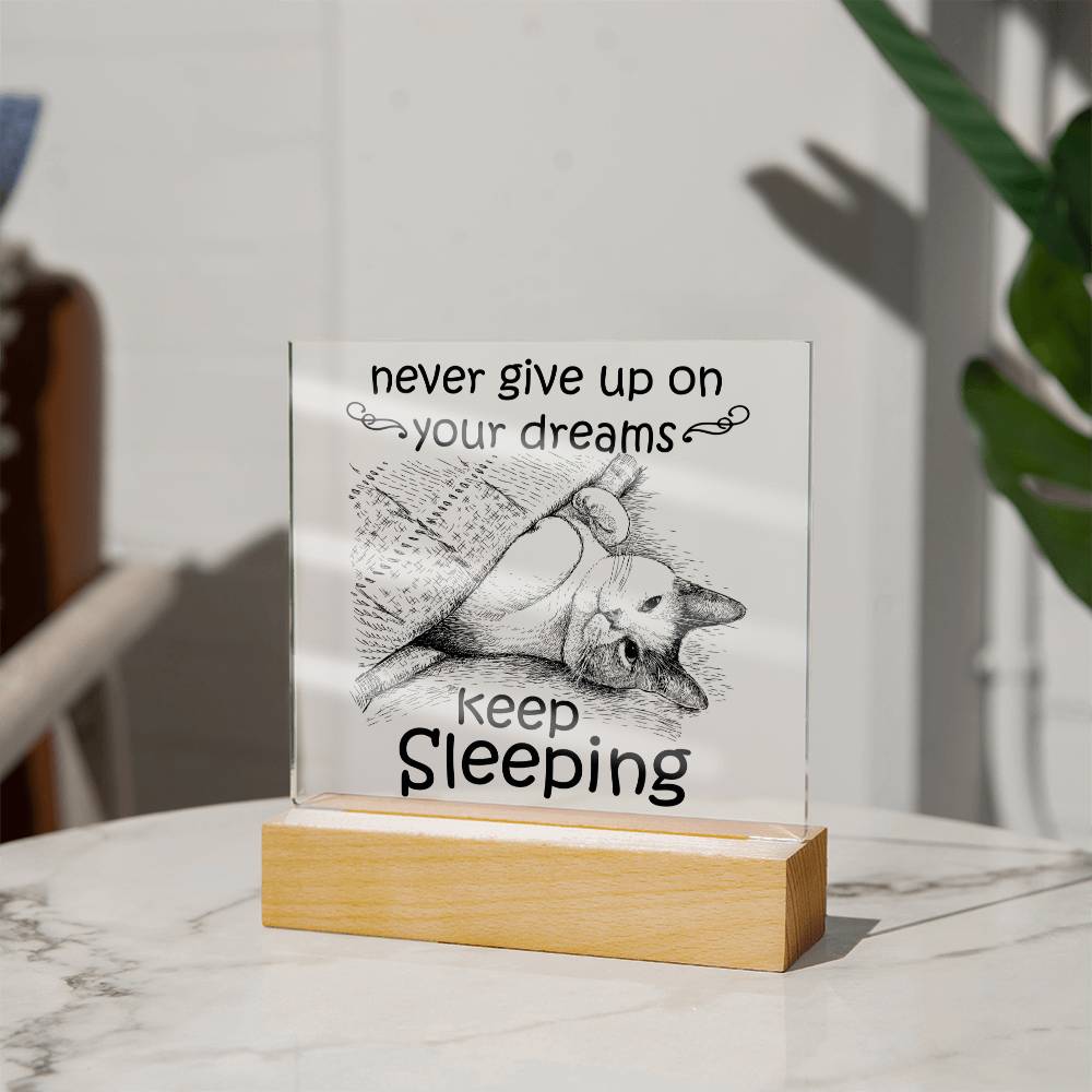 Never Give Up On your Dreams