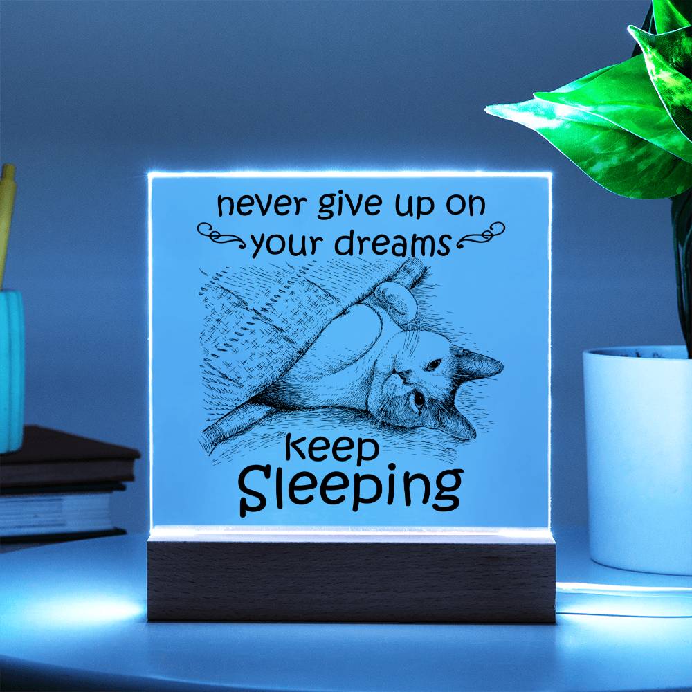 Never Give Up On your Dreams